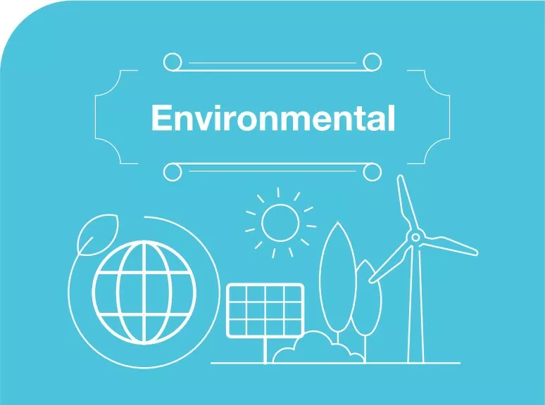 Environmental graphic